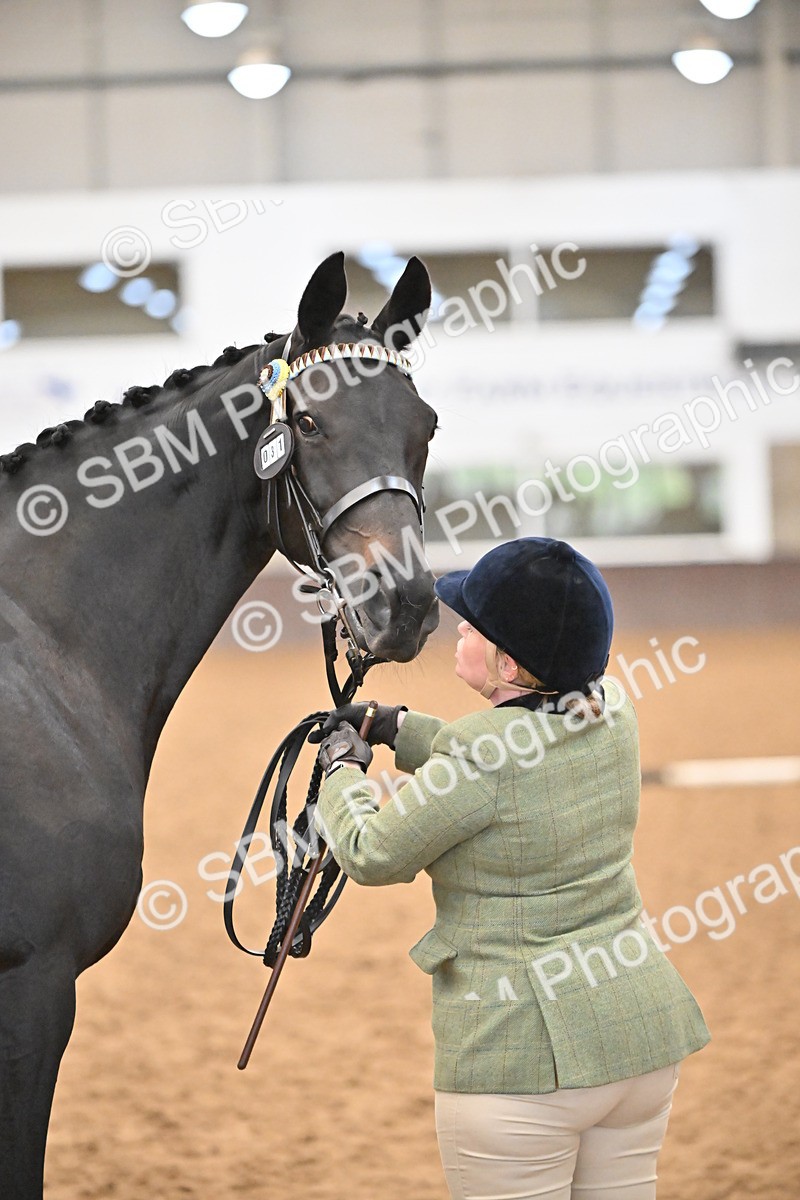 SBM_000144 - Class 6 - BSHA In Hand Racehorse to Show Horse