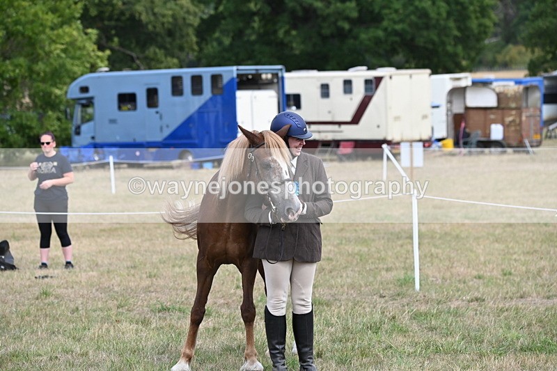 WJ6_6336 - Class 19 In-hand Veterans (Uploaded correct folder)