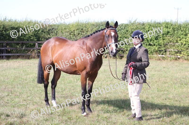 20260906-0713 - Class 22 - Ex Racehorse