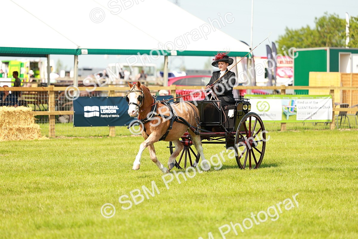 SBM_02673 - Class 2-4 - HOYS Private Driving