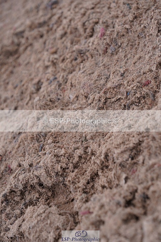 250628-114610-04385 - Cls 22 Springboard