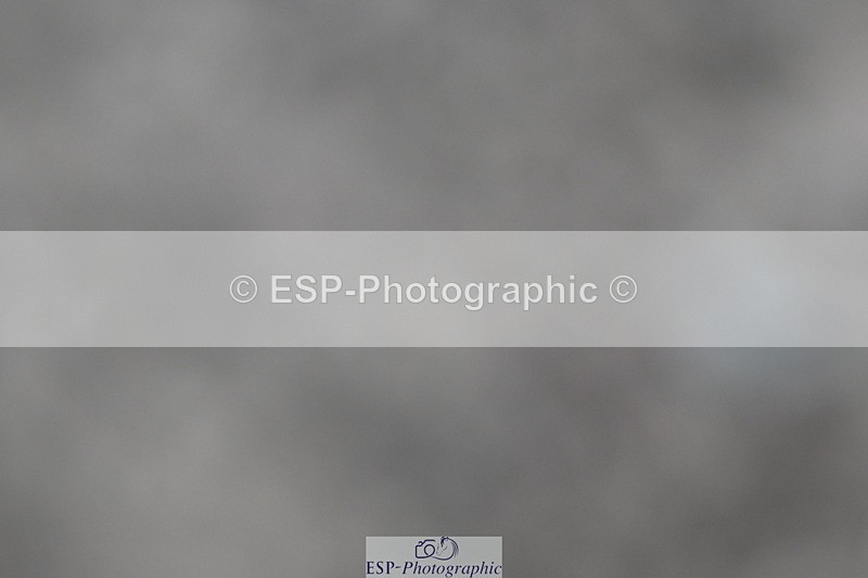 240611A-184016-01004 - 50cm