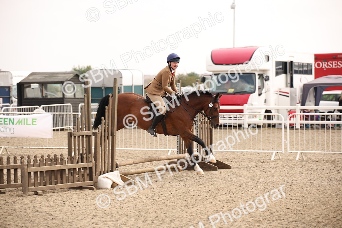 SBM_12239 - Class 405a - M&M Working Veteran 50cm (15-19)