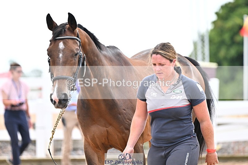 240718A-105326-02016 - Trot Up 2pm to 3pm - This folder is not in time order