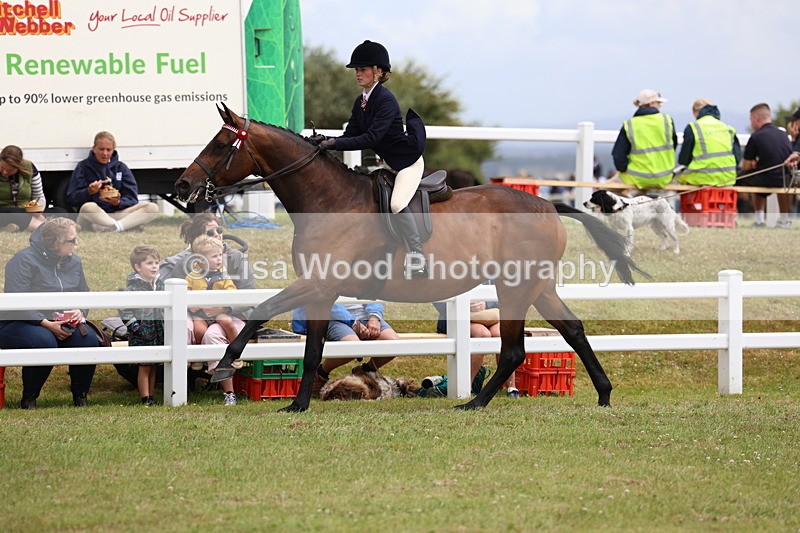 3E7A1003 - Class 8: Open Riding Horse/Hack