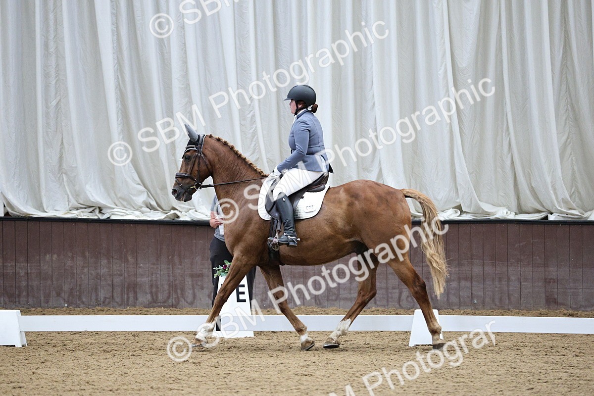 SBM_001250 - Class 5 - Novice 6