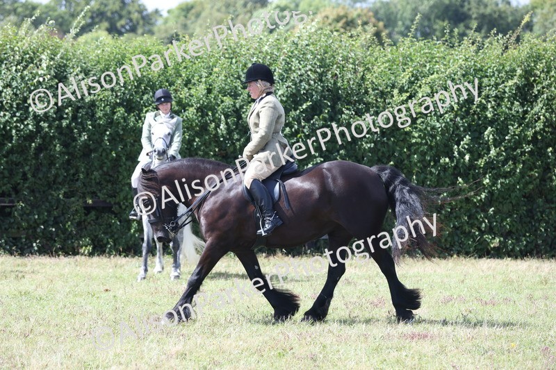 20250831-2961 - Class 19 - Mountain and Moorland