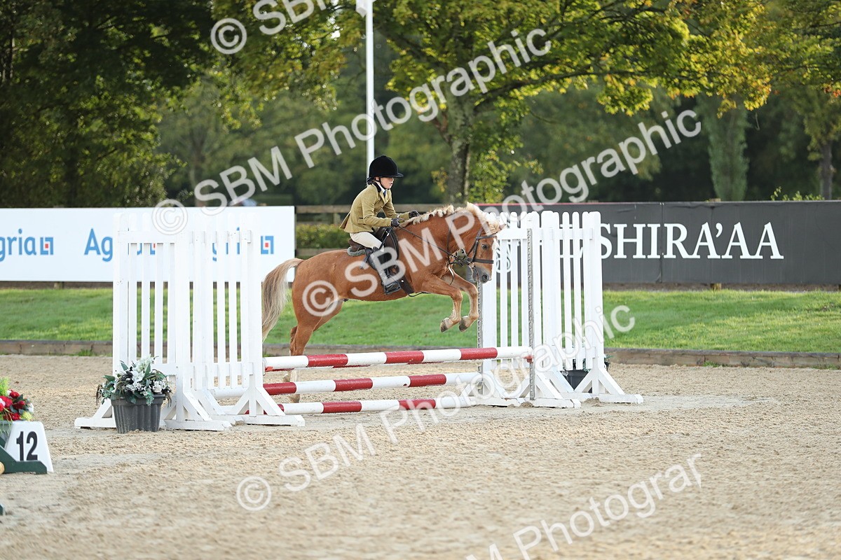 SBM_34144 - J60 Clear Round 50cm