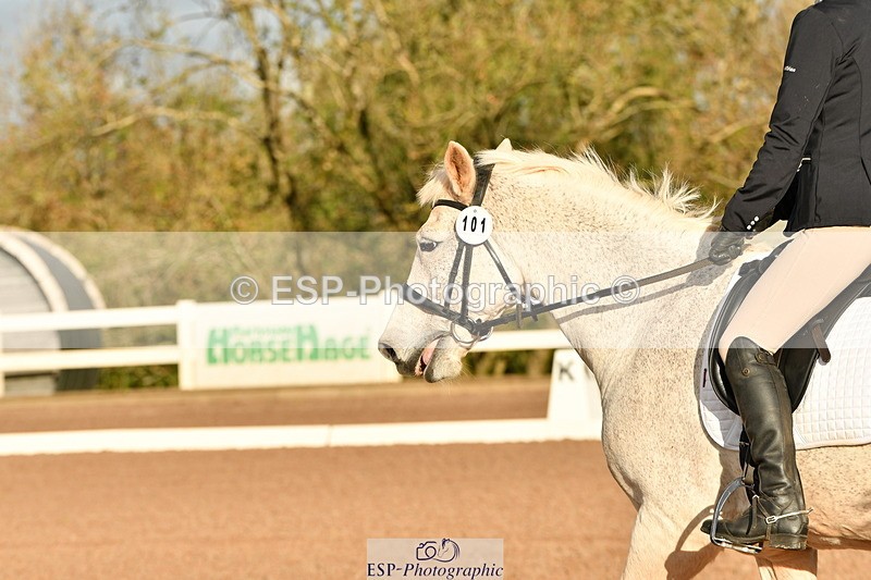 231105A-092918-00006 - Quest Intro A