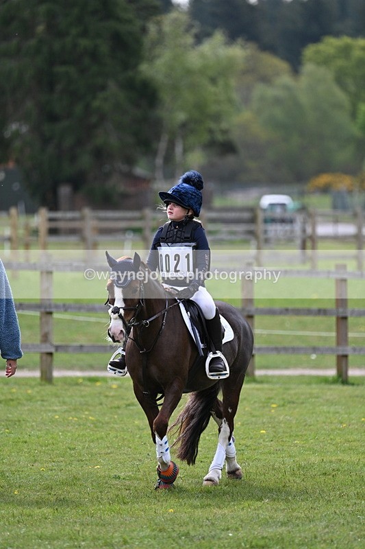 WJ7_5326 - 60cm Time 10:32 to 10:55