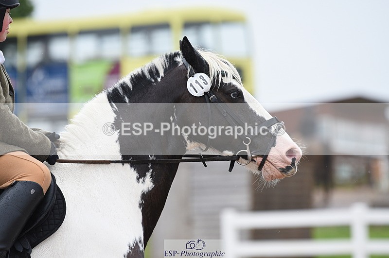 230708A-125130-01786 - Prelim 7