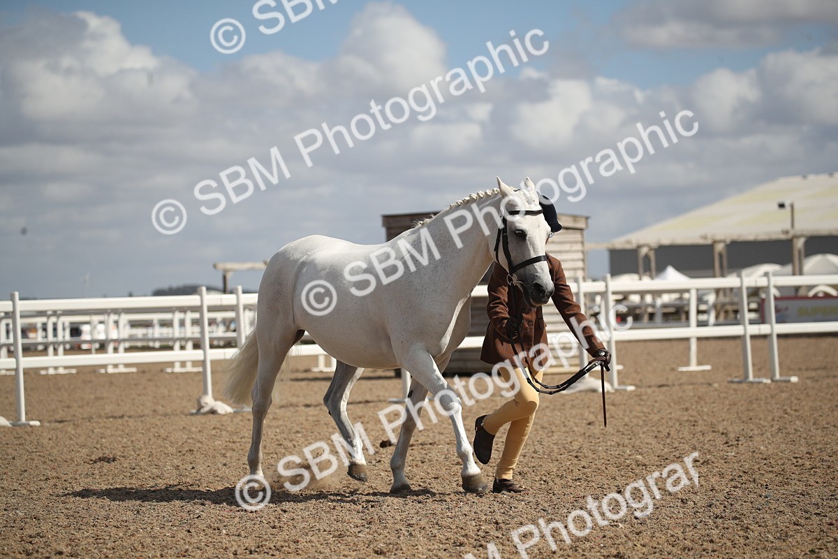 SBM_23557 - Class 605 - 2026 - Area - IH Veteran