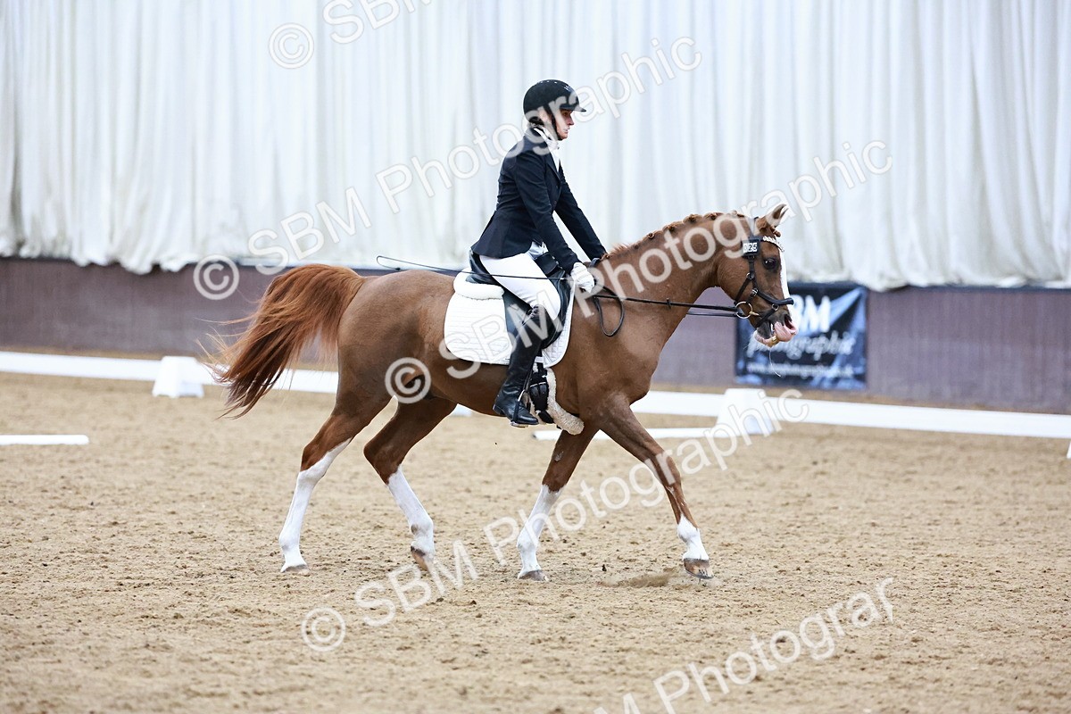 0B8A8100 - Class 5 - Novice 2