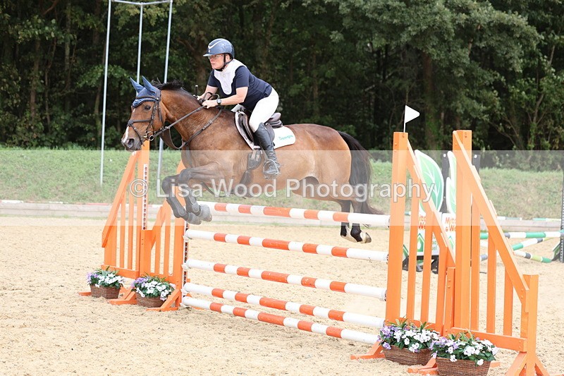 3E7A6529 - Class 9: Senior Foxhunter/1.20 open