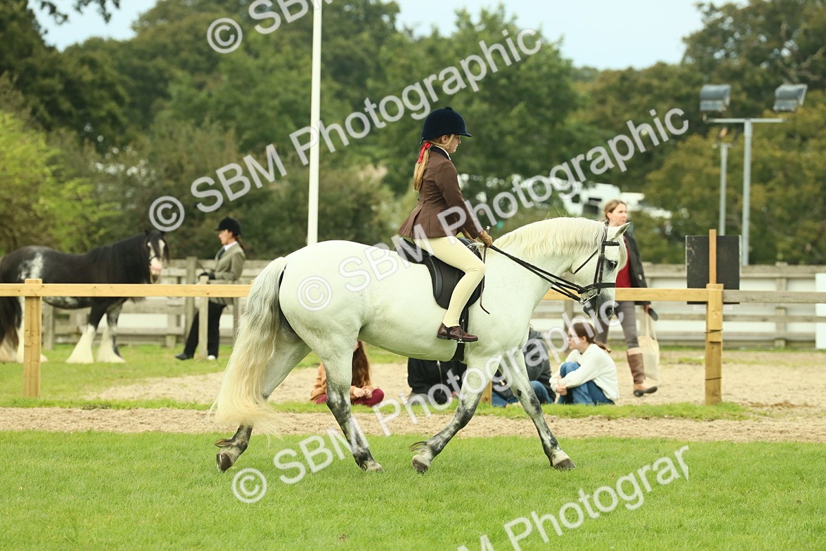 SBM_72014 - S60 - Mountain & Moorland Ridden Large Breeds