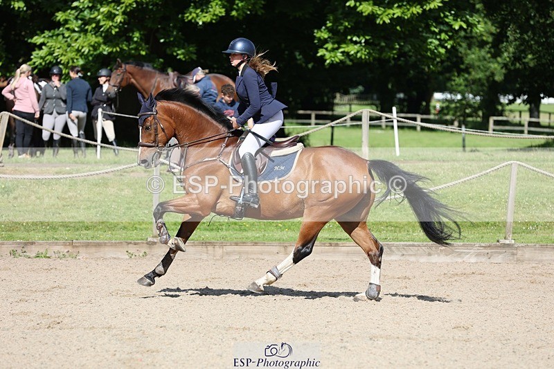 240615-093747-00281 - Cls 1 Snr British Novice and 90cm Open