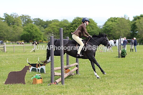 IMG_3194 - Working Hunter