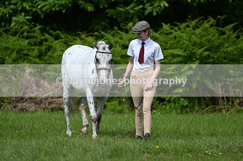 WJ7_1293 - Class 11 Condition & Turnout
