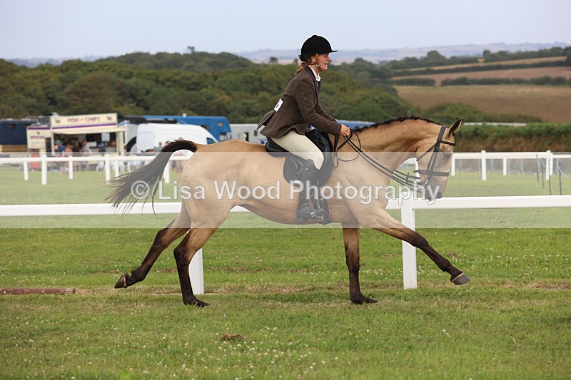 JPP_4444 - Class 26: Working Hunter 1m