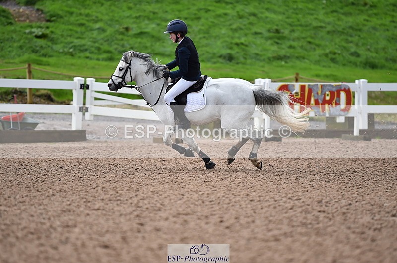 231029A-103554-02342 - 70cm Pony Intro