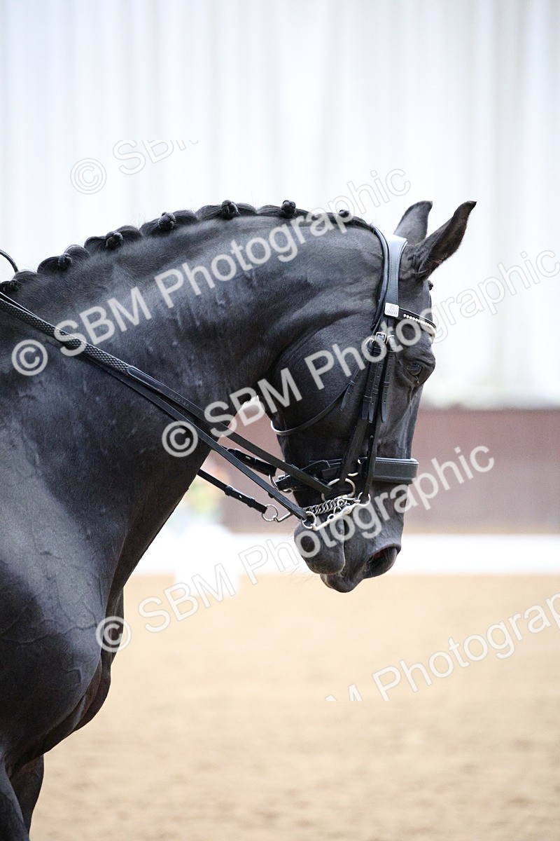 SBM_008079 - Class 12 - FEI PSG 14.46-15.50