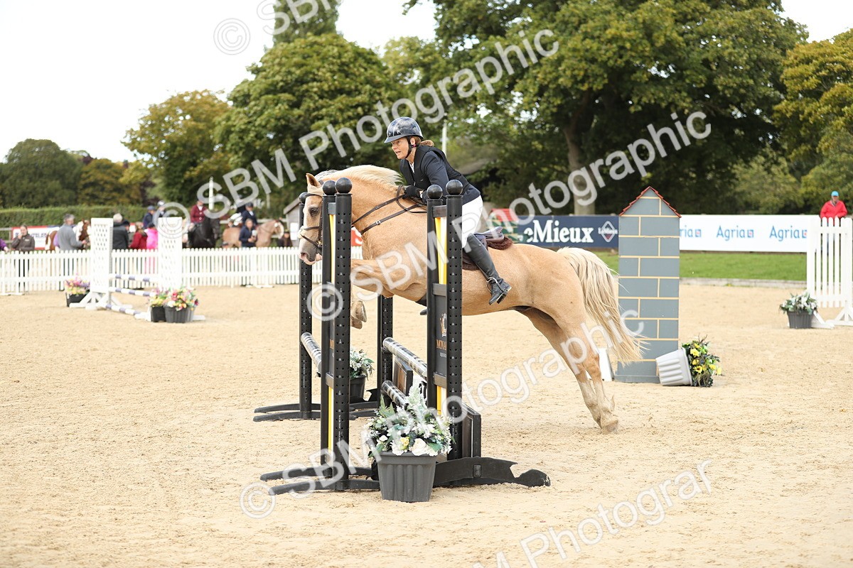 SBM_09991 - J36 - Veteran Rider 70cm