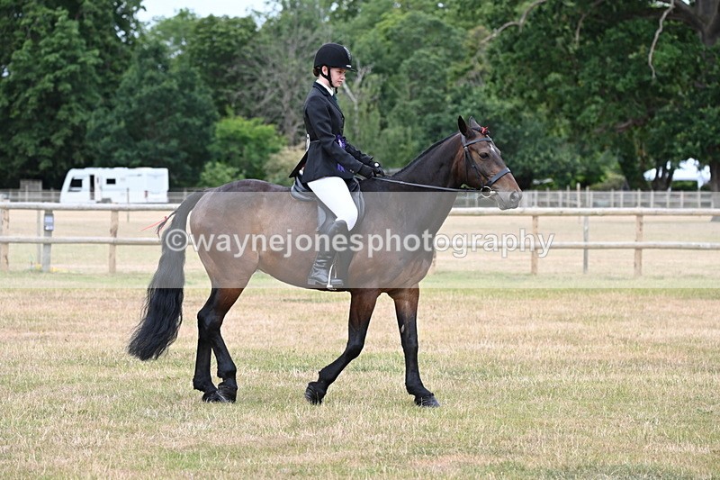 WJ6_4107 - Class 9 Tack & Turnout