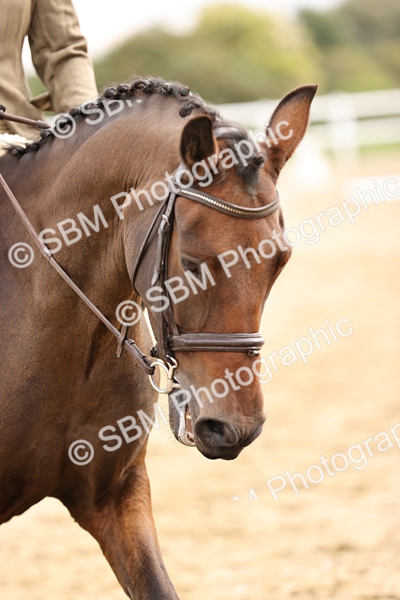 SBM_001236 - Prelim 3