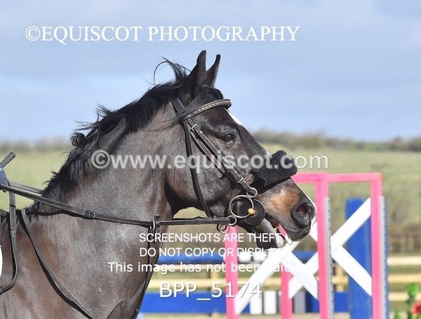 BPP_5174 - CLASS 2 Club/ Unaffiliated 80cms Open