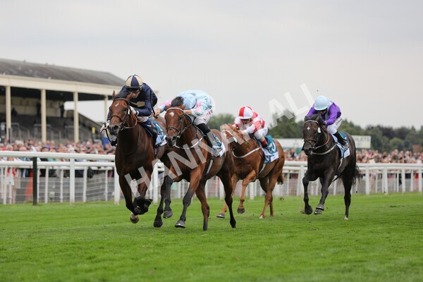 yr18082022r6-31 - Race 6 4.45 pm OR8wellness ebfstallions Nursery Handicap
