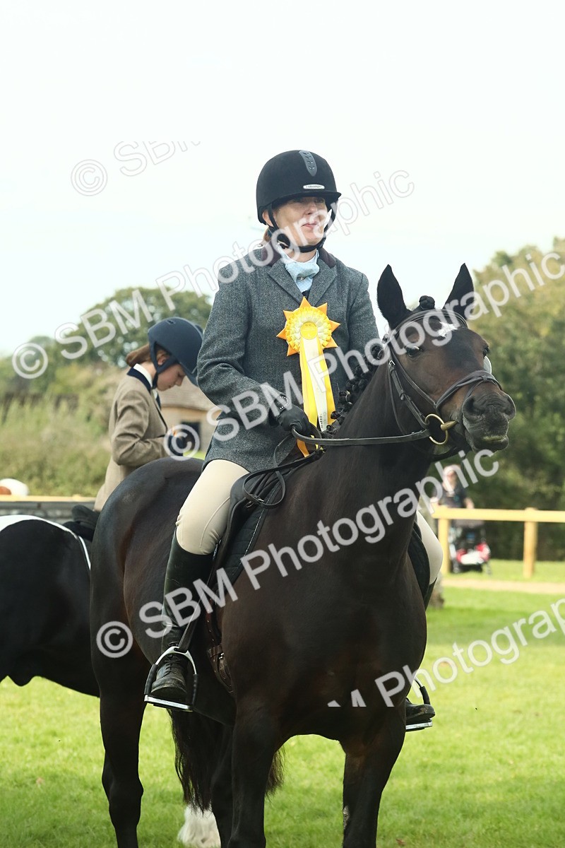 SBM_66787 - S34 - Rehabilitated Rescue Horse & Pony In Hand & Ridden