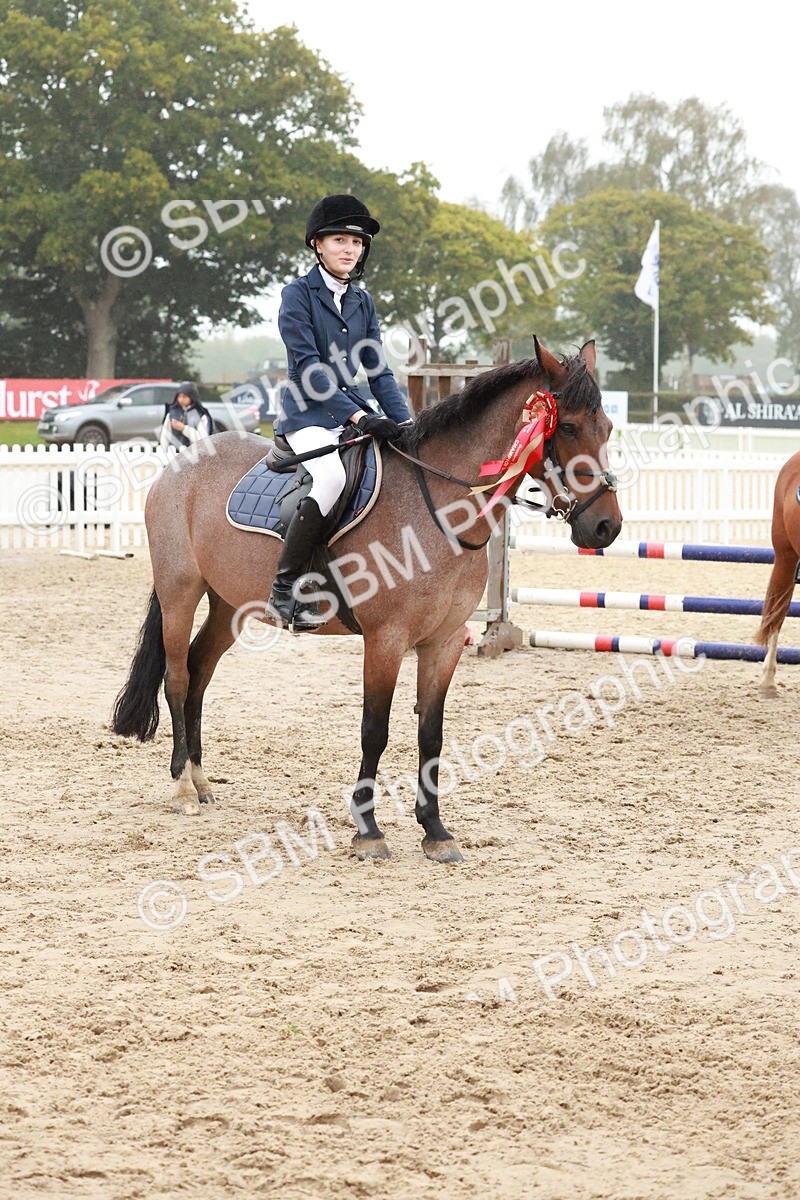 SBM_73550 - Supreme Championship Junior Pony 60cm & 65cm