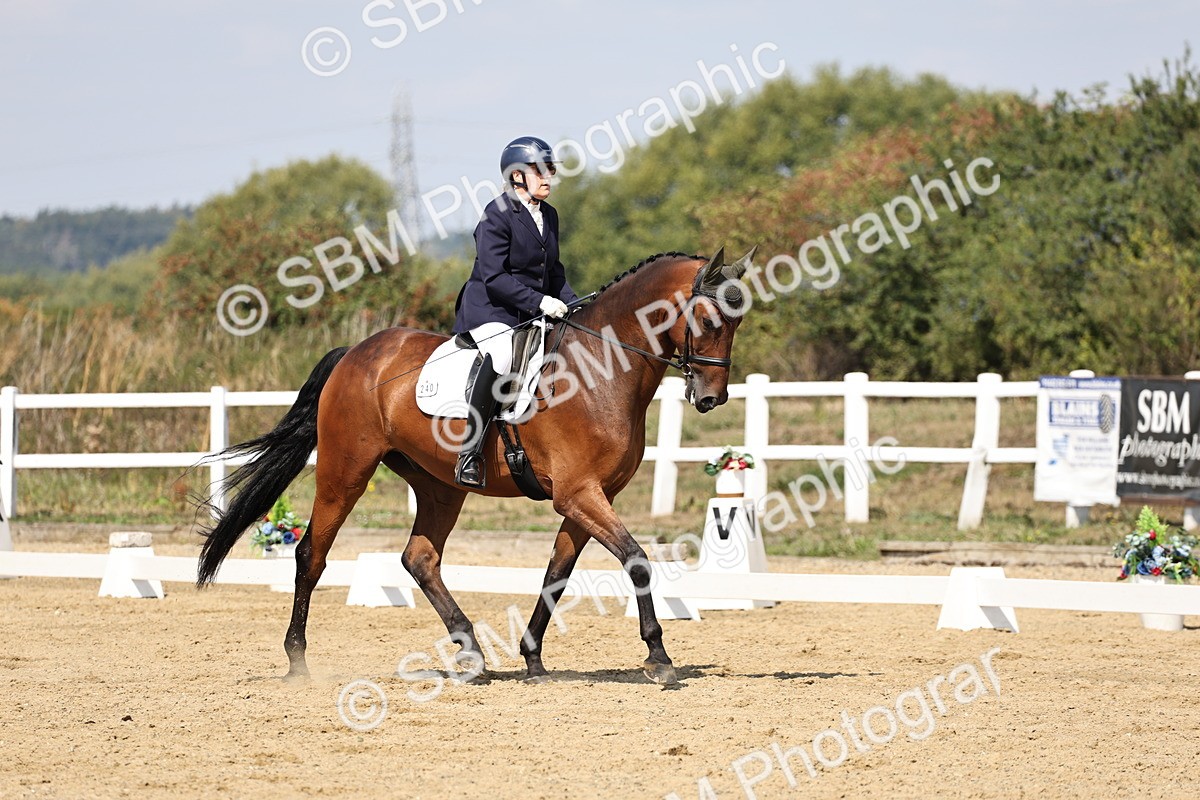 SBM_018588 - Class 16 - Novice 5 - 12.08-13.11