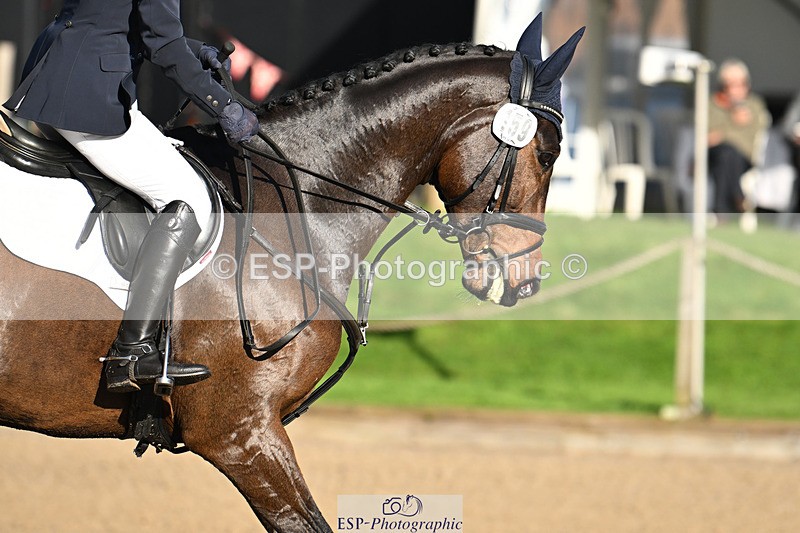 241025-103850-05476 - 159-Eva.Carse-HIDDEN.ECLIPSE