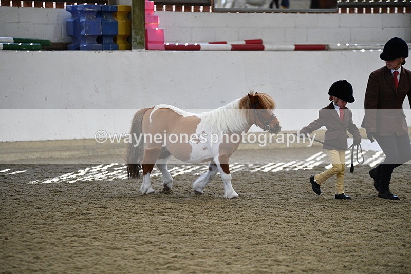 WJ5_4893 - Class 7 In hand coloured / odd coloured