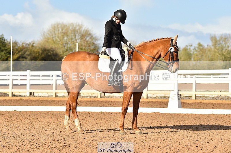 231104A-134116-01885 - Cls 10 Medium 61