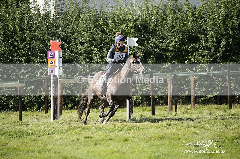  WWHT 031021 1485 - Open Novice (0.80m) 03/10/21