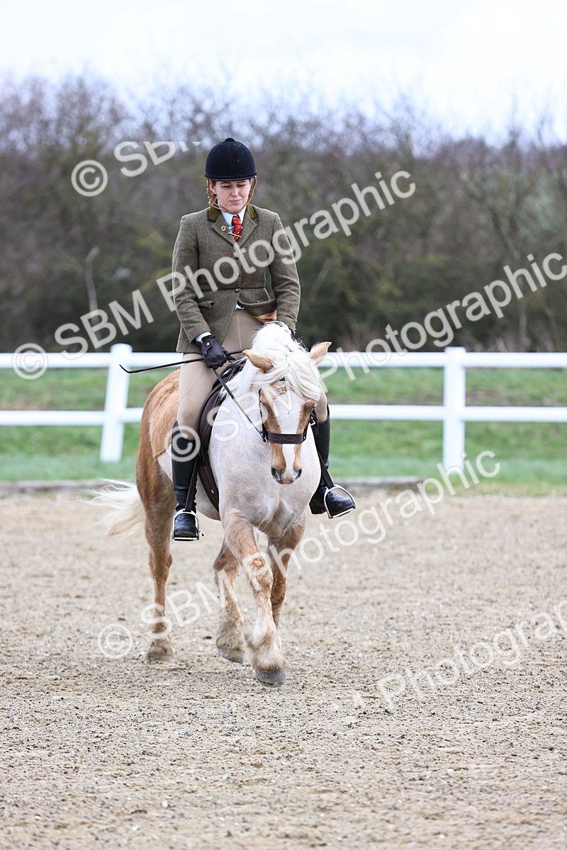 SBM_006993 - Class 29 - 30 - M&M Pure Novice Small-Large Breeds