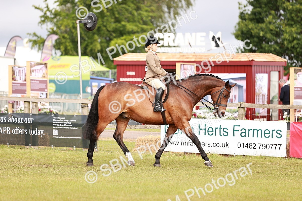 SBM_10841 - Class 81-84 - RIHS Ridden hunters Inc Ladies Hunter