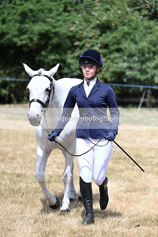 WJ7_1604 - Class 4 Prettiest Mare up to 14.2hh in hand