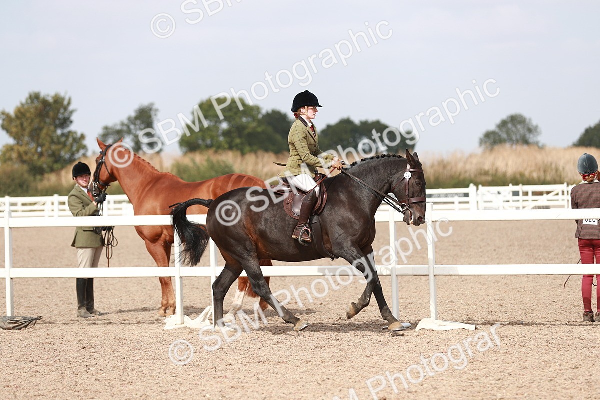 SBM_14836 - Class 212 Ridden Hunter - Small