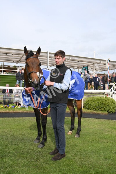 yr13052022r6-48 - Race 6 4.45pm Yorkshire Equine Practice Stakes