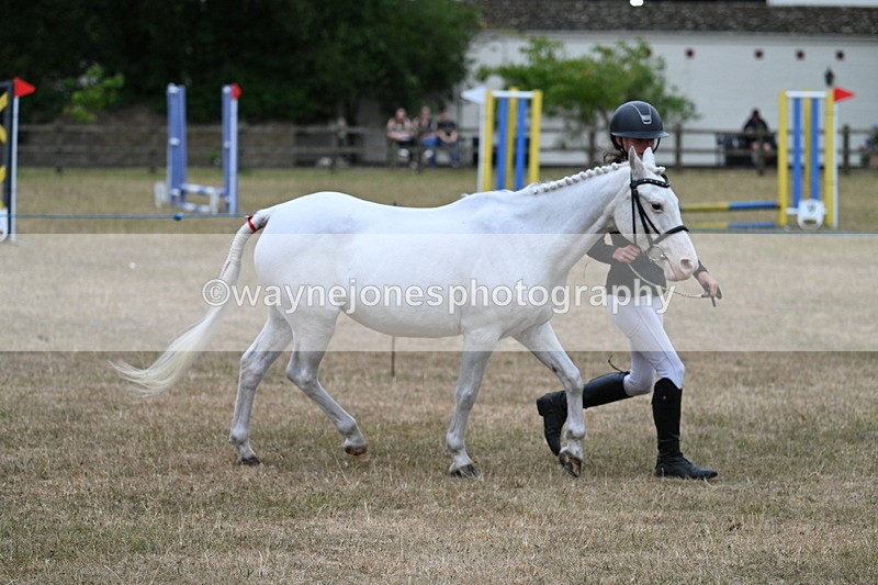 WJ7_8307 - Class 4 Prettiest Mare up to 14.2hh