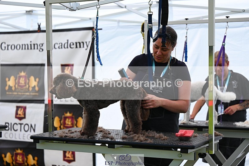 240525-114929-12641 - Candid and Saturday Hobby Horse