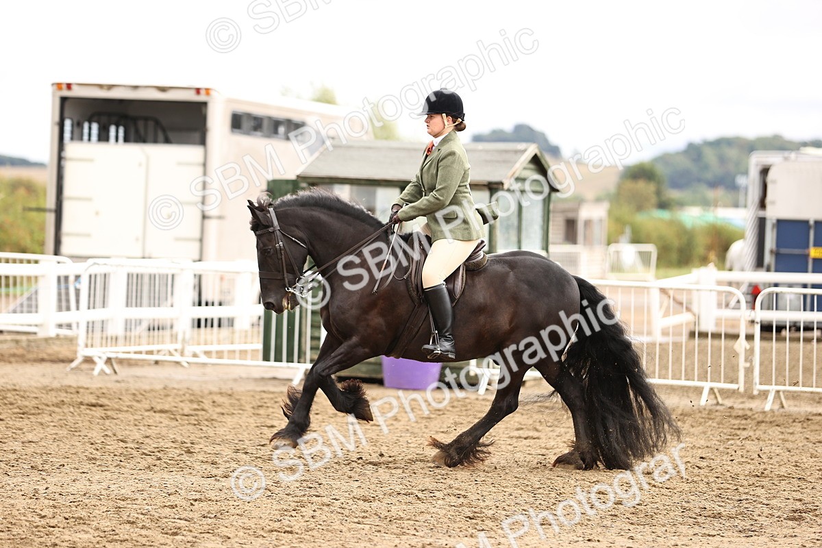 SBM_00597 - Class 53 - Ridden Competition Horse Pony