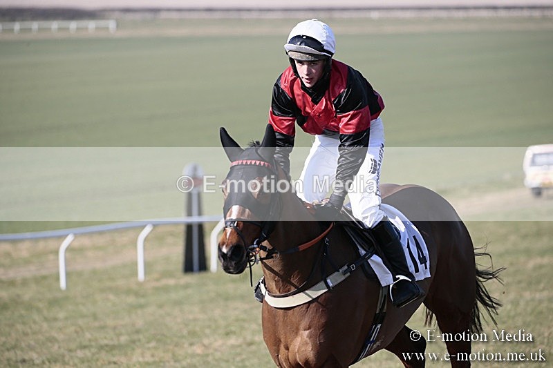 PtP 240218 101 - Vine & Craven Hunt Point-to-Point Barbury racecourse 24/02/18