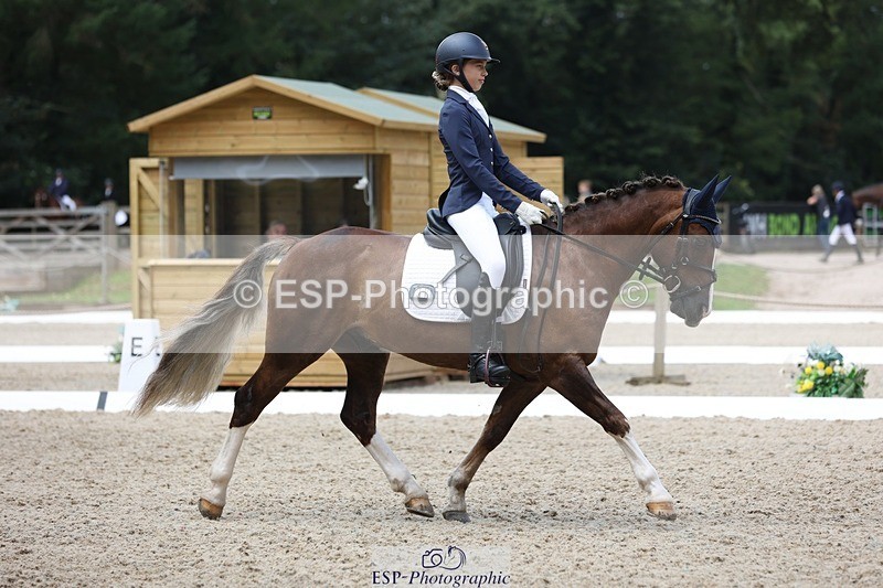 230812-115927-03899 - Cls 5 Novice Bronze 11.15 to 12.50 break