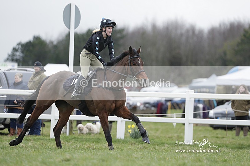PtP 260323 0185 - New Forest Hounds Point-to-Point Larkhill 26/03/23