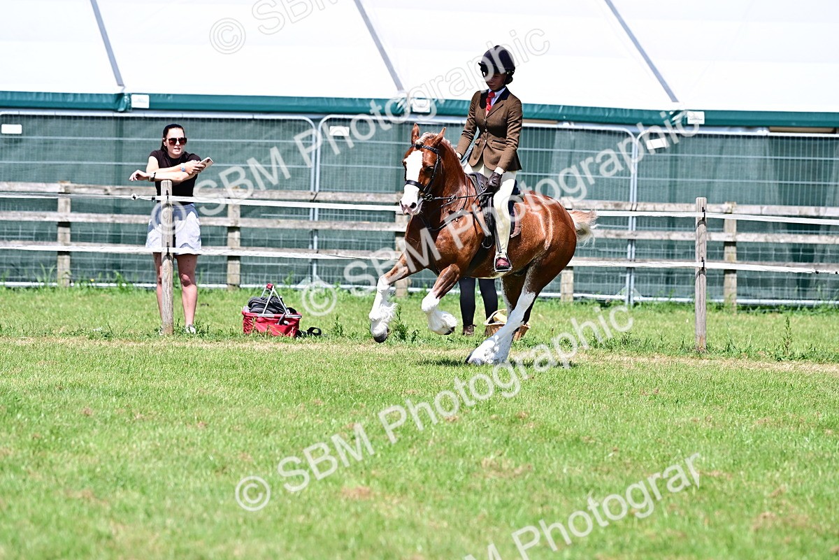 SBM_15295 - Class 95-97 - BSPS LHS Performance Ponies