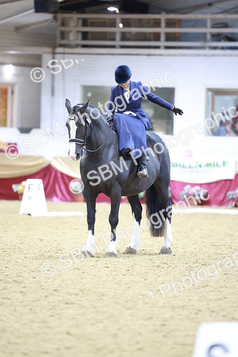 SBM_09909 - Class 61 - Dressage to Music